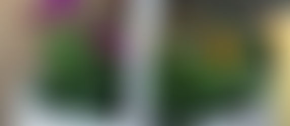 秋の寄せ植え