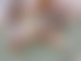 2024年8月1週目 積木「飛行機」