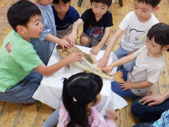 2024年5月3週目 絵画「コブラ」・「マス」・「ナマズ」