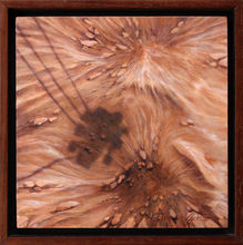   Mars, Perseverance Rover, 