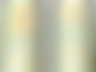 「ヱビス シトラスブラン」2/20数量限定発売