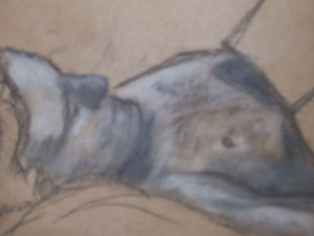 From Sketches to Animation: Birdsnest Art's Special Classes