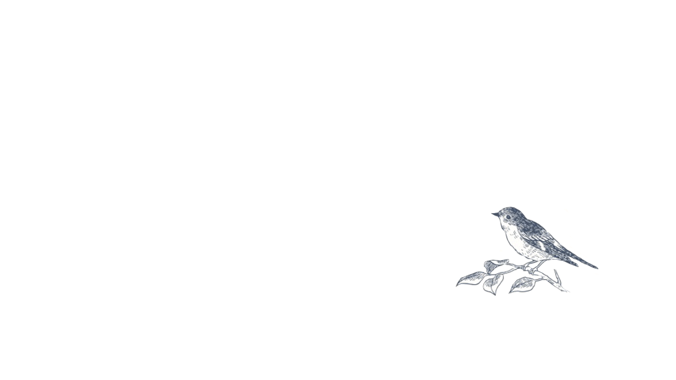 web-animated-logo-Recovered.gif