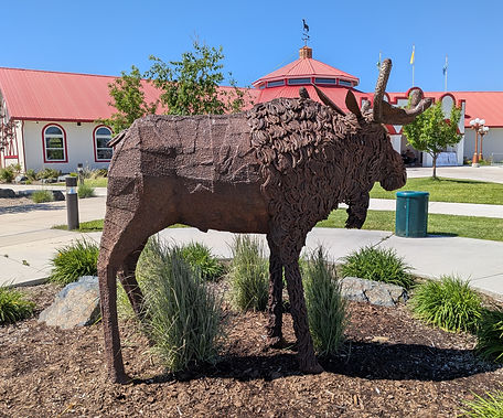Moose.jpg