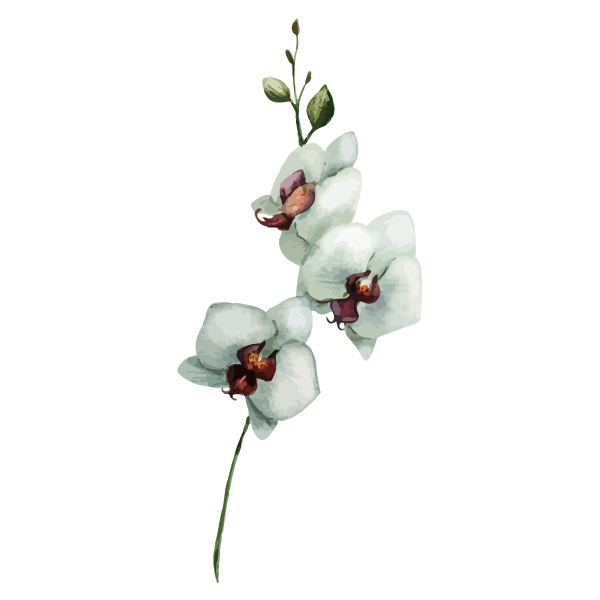 White Flowers_edited.png