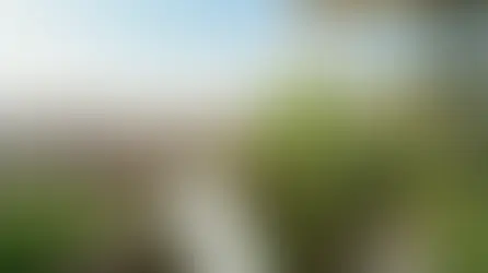 AI Plant Doctor for Weather-Aware Plant Care