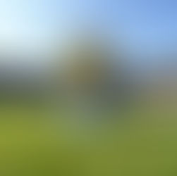 Indian Premier League : The Cricket Carnival