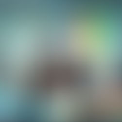 EV Service Center of OLA: Case Study