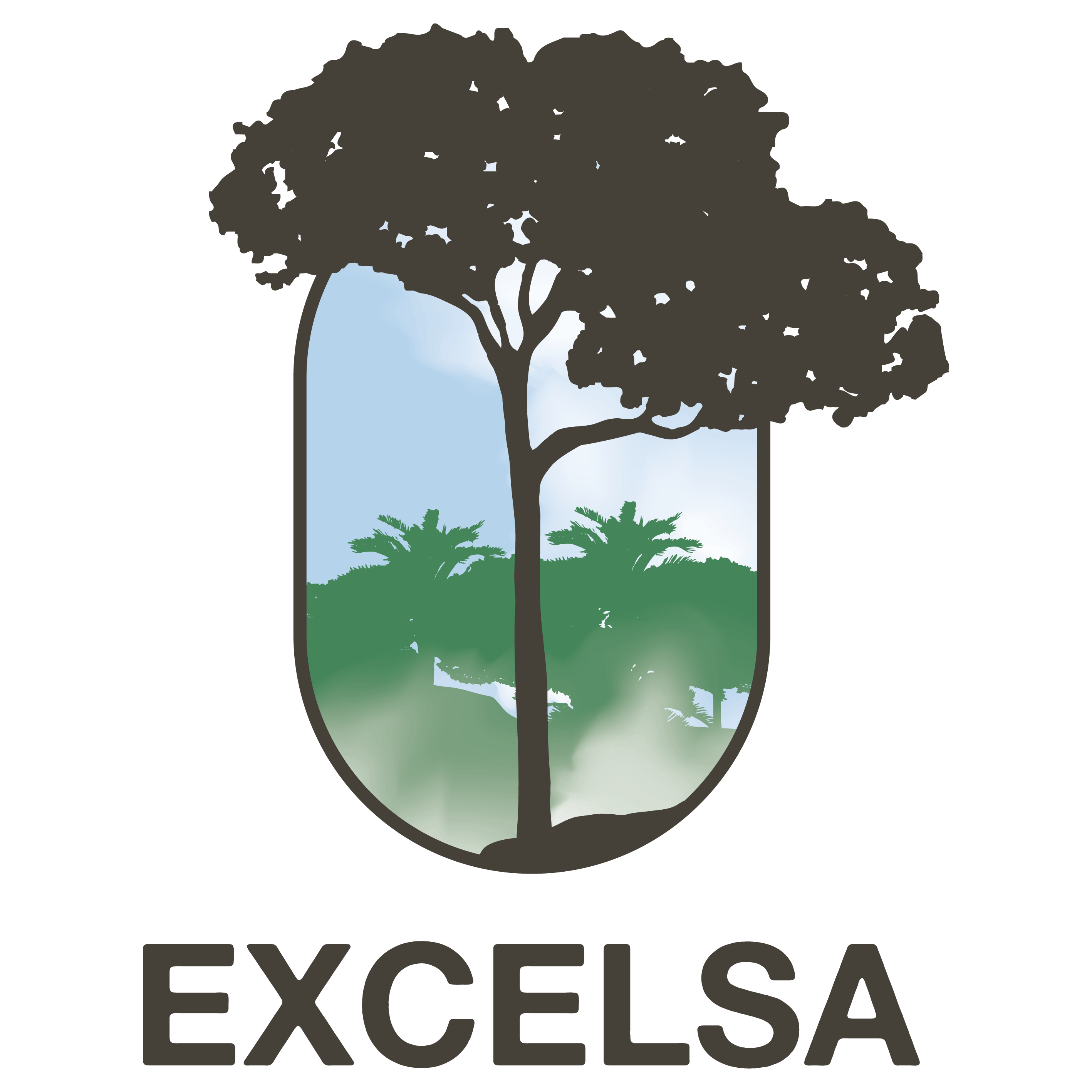 Excelsa Florestal