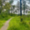IMG_2099.jpeg