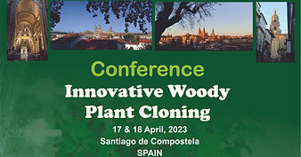 Poster of 1st Conference of CopyTree