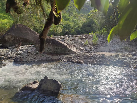 Green surroundings of Guadalupe and crystalline rivers..