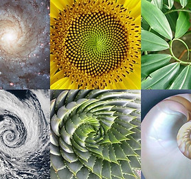 Screen Shot 2023-12-11 at 2_edited.jpg