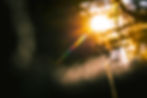 raphael-renter-raphi_rawr-VO_c55zvyrk-unsplash_edited_edited.jpg