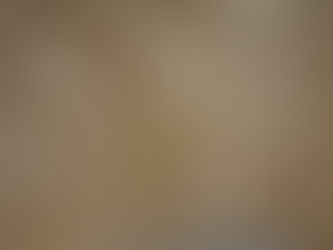 無垢材と集成材はどちらがいいのか?−1