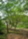 65c5410582851eff478942ad_Gabon_Day+3-066-p-500.webp