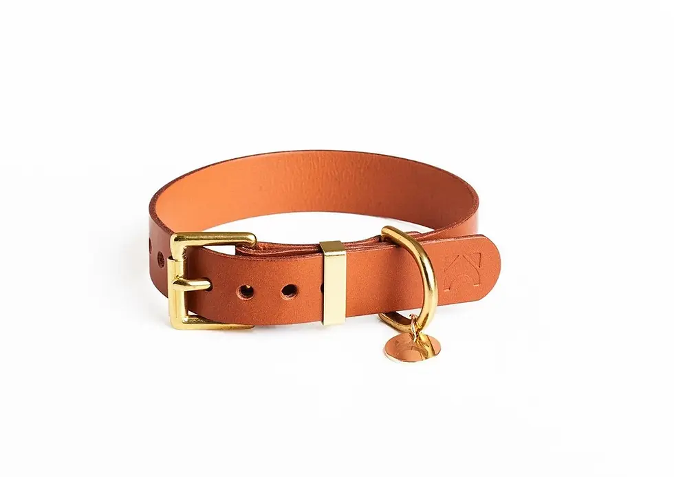 Thumbnail: CLASSIC LEATHER DOG COLLAR
