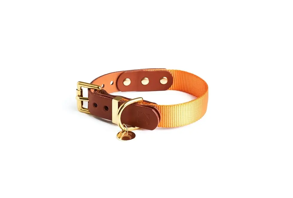 Thumbnail: LEATHER & WEBBING COLLAR