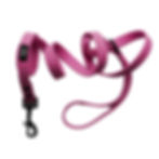 Pink silicone dog leash, Aurora Paws