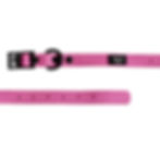 Pink Aurora Paws dog collar