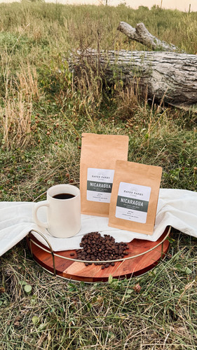 Nicaragua - Medium Roast | Haven Farms Coffee