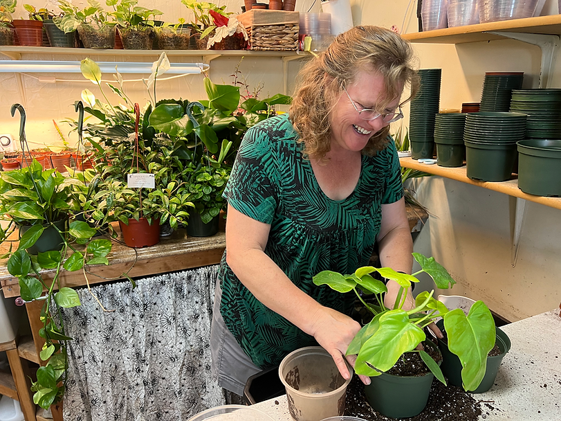 professional-plant-services-helena