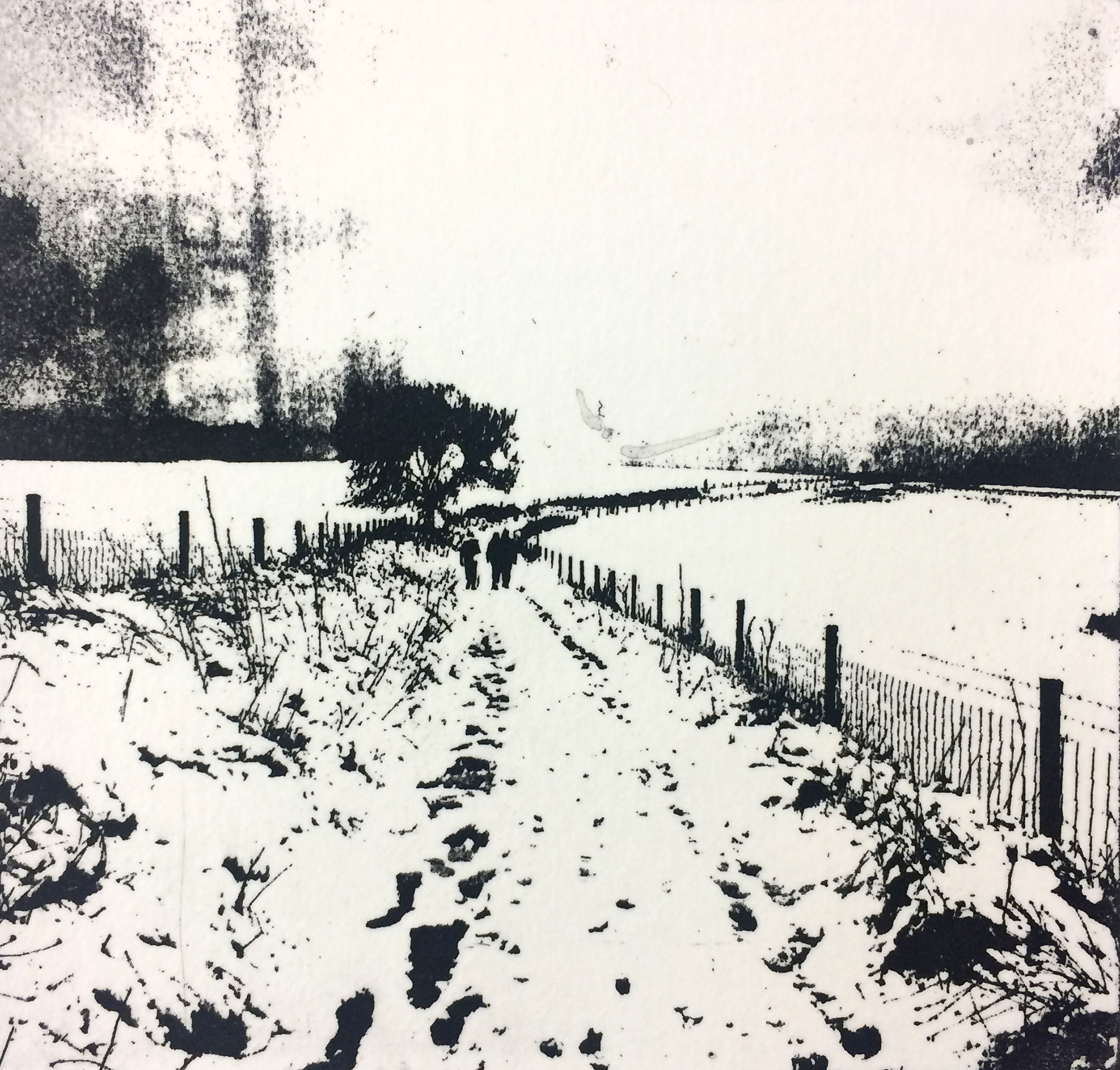 Winter Walk