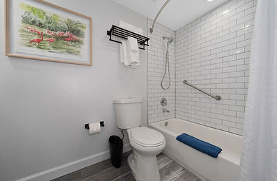 3003 L Bathroom ShowerL.jpg