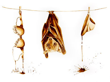 Bat funny coffee painting by Meital Regev