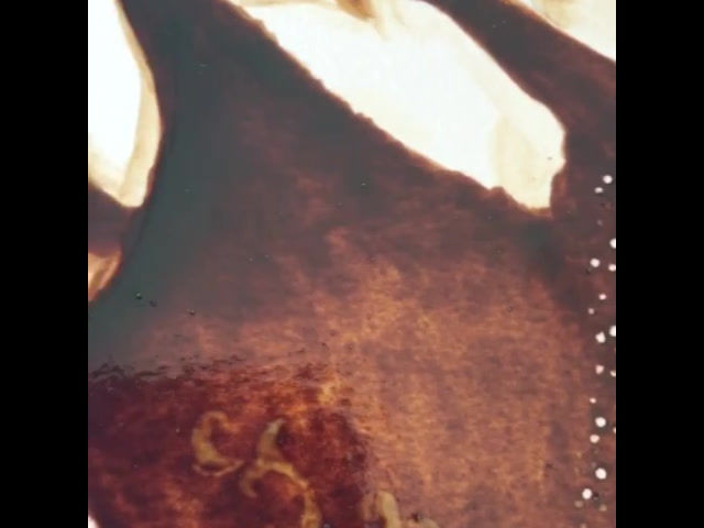 Flamenco dancer painting video