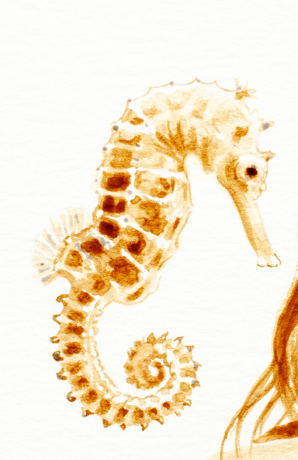 Thumbnail: Original Seahorse Decor, Seahorse wall art, Beach decor, Seahorse art