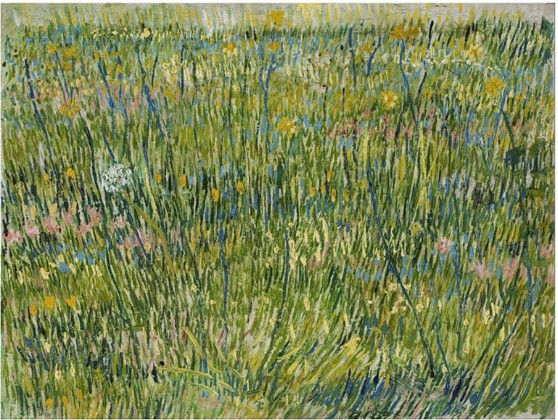 Vincent van Gogh (Patch of Grass, 1887): An oil painting created in Paris showcasing a close-up, vibrant cluster of turf and blades of grass. Advanced x-ray scans later revealed a hidden portrait of a peasant woman underneath this vibrant layer.