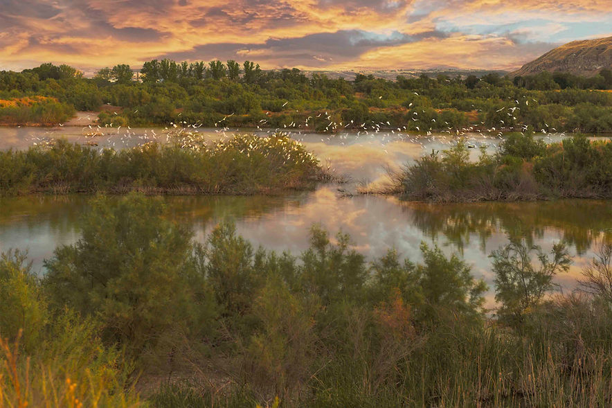 3.Lagunas de Velilla de San Antonio.jpg