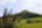 Puketapu.jpg