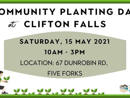 15.05.21 COMMUNITY PLANTING DAY AT CLIFTON FALLS, FIVE FORKS
