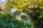 Oamaru public gardens