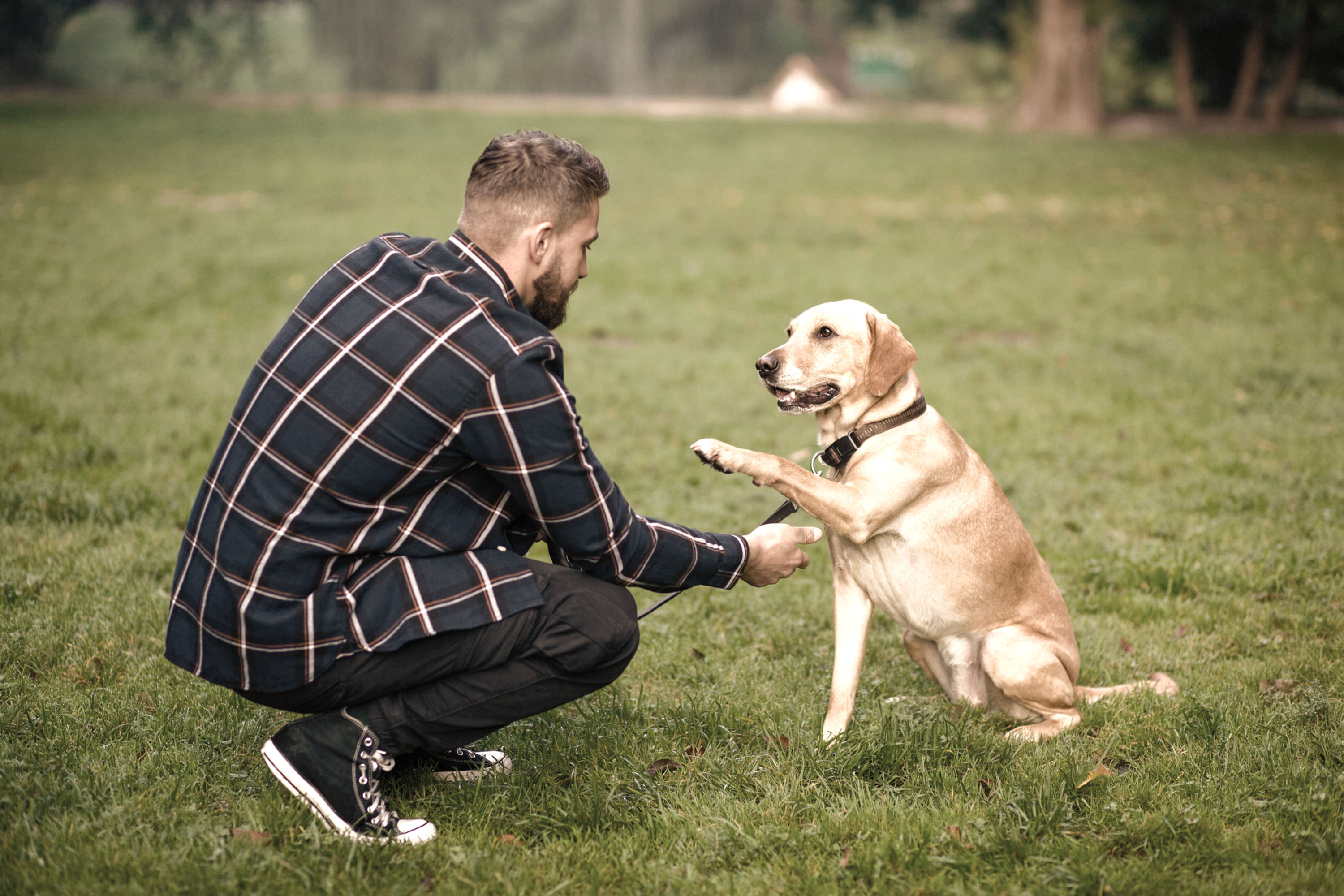 Understanding your best friend.