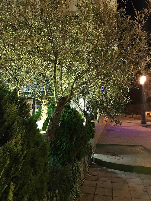 Thumbnail: RGB Wallwasher Outdoor