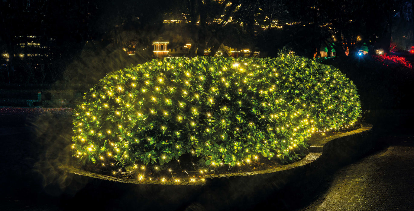 PROLINE LICHTSYSTEM