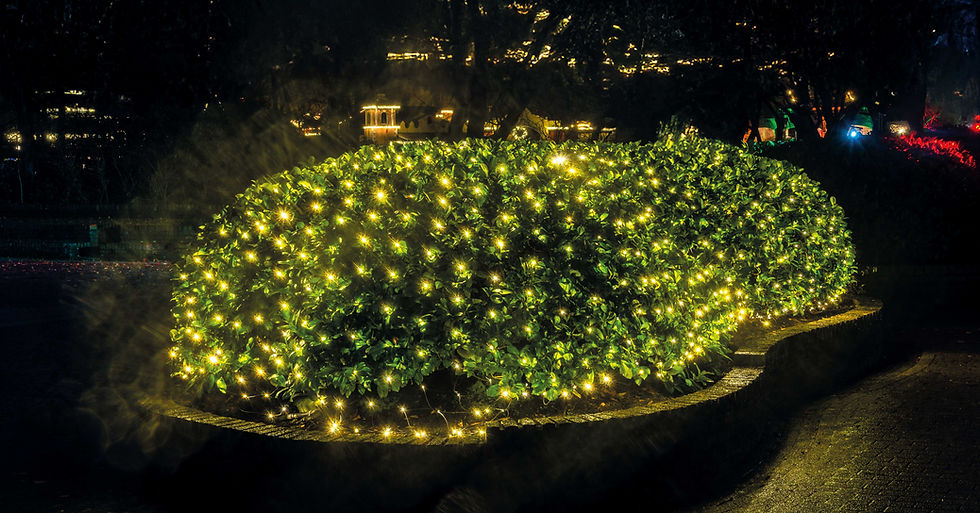Schaffen Sie beeindruckende Lichtbilder mit LED Lichtnetzen.