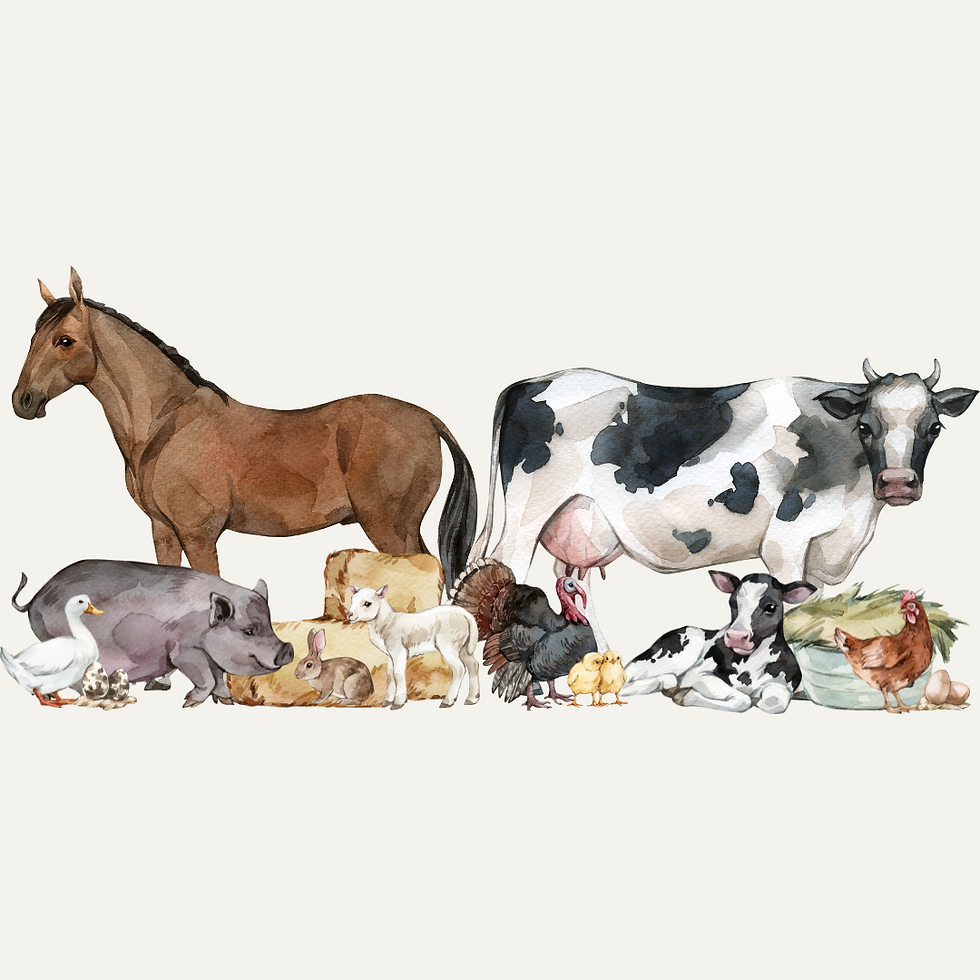 Livestock & Equine Social