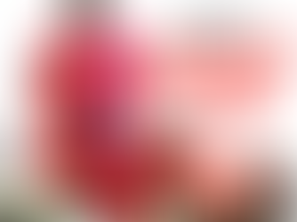 J. Maurice | Nothing But The Hits V2 | The Album