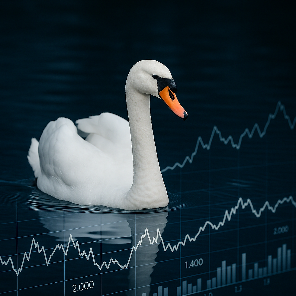 swan finance