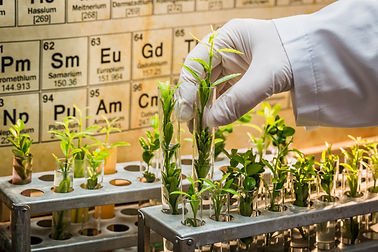 pharmaceutical-laboratory-testing-of-pesticides-on-2023-11-27-05-34-25-utc.jpg