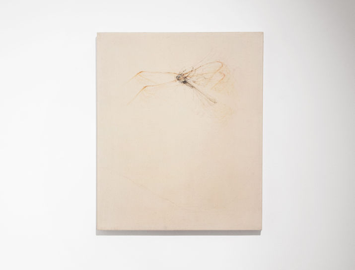 Giorgio Celiberti Jr. e Roberta Sorbo nella mostra E.t. Telefono Terra, re<lizzata in occasione di Opentour 2026, in collaborazione con Ababo, Comune di Bologna, Banca di Bologna, Accademia di Belle arti, Fondazione Zucchelli, Estate, Studio la Linea Verticale contemporary art, emergent artist, art gallery italian