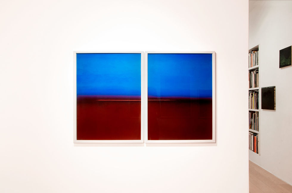 Francesca Dondoglio artista della Galleria Studio la Linea Verticale di Bologna