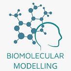 Biomolecular modelling