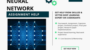 Neural Network Assignment Help