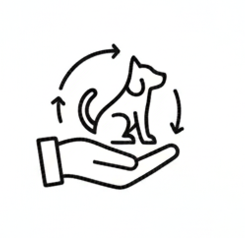 Captura de Tela 2026-01-09 às 17.24.38.png