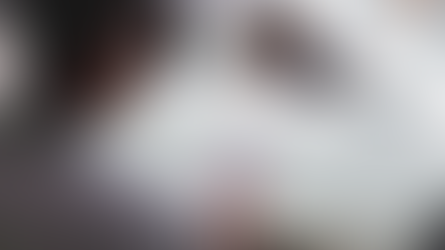 Uber and Lyft May Be An Answer, But They Are NOT THE ANSWER to NEMT 